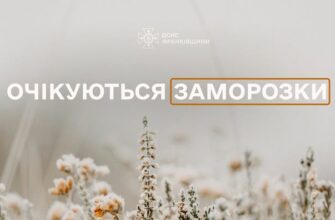 Увага! Вночі та вранці 23 жовтня очікуються заморозки