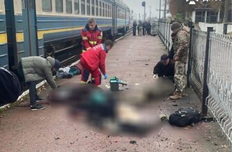 На Житомирщині харків’янин підірвав прикордонницю та цивільних