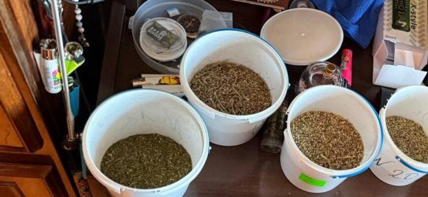 Виїхали на домашнє насильство і виявили наркотики: прикарпатські поліцейські викрили зловмисника