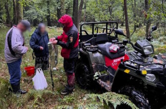 На Івано-Франківщині рятувальники допомогли двом грибникам, які заблукали в лісі