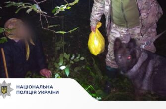 На Прикарпатті поліцейська вівчарка розшукала літню жінку, яка заблукала у лісі