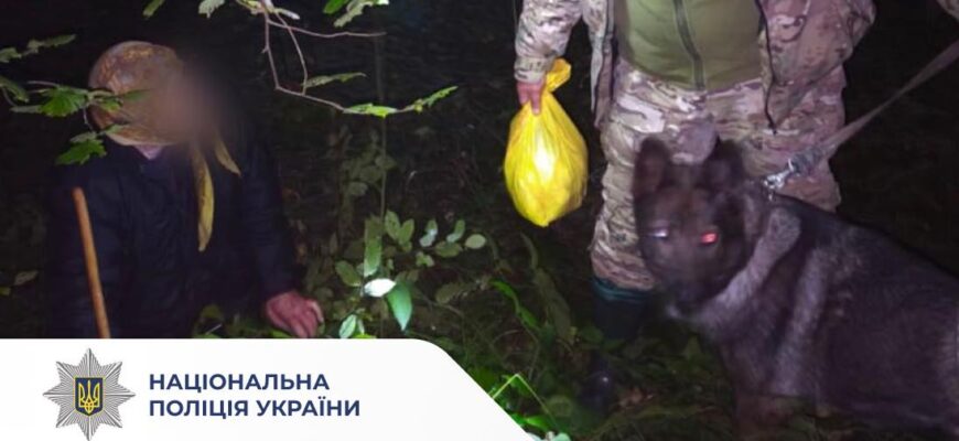 На Прикарпатті поліцейська вівчарка розшукала літню жінку, яка заблукала у лісі