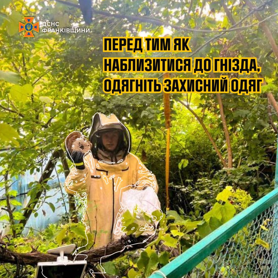vaoro - Поради рятувальників щодо знищення гнізд агресивних комах - rai.ua
