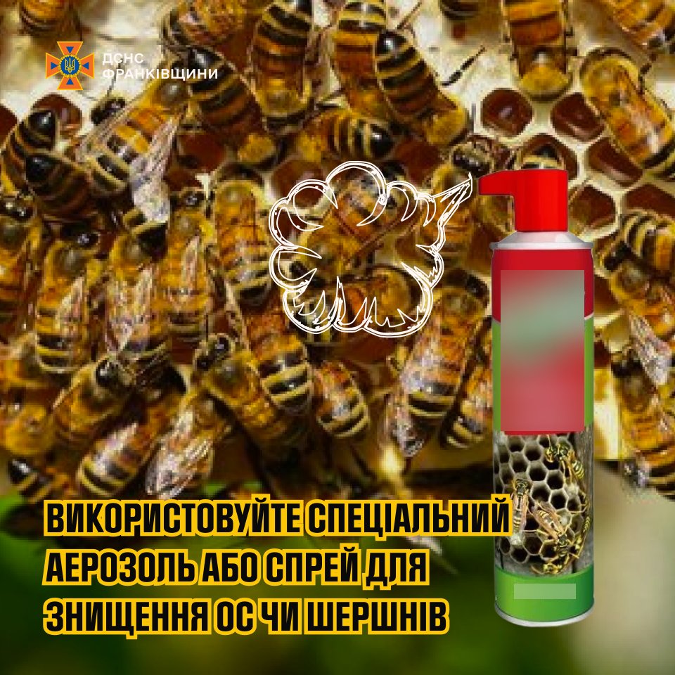 vegoa - Поради рятувальників щодо знищення гнізд агресивних комах - rai.ua