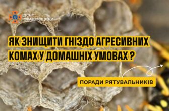 Поради рятувальників щодо знищення гнізд агресивних комах!