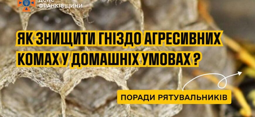 Поради рятувальників щодо знищення гнізд агресивних комах!