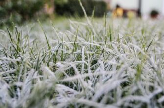 Увага! Очікується ускладнення погодних умов