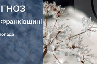 Прогноз погоди на 11 листопада 2025 року