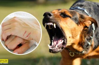 Сказ — одне з найнебезпечніших вірусних захворювань