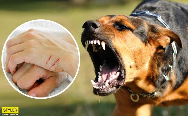 Сказ — одне з найнебезпечніших вірусних захворювань