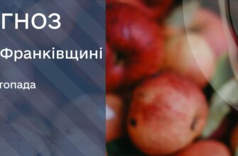 Прогноз погоди на 28 листопада 2025 року