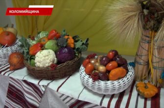 У Матіївцях відзначили День працівників сільсого господарства. Відео