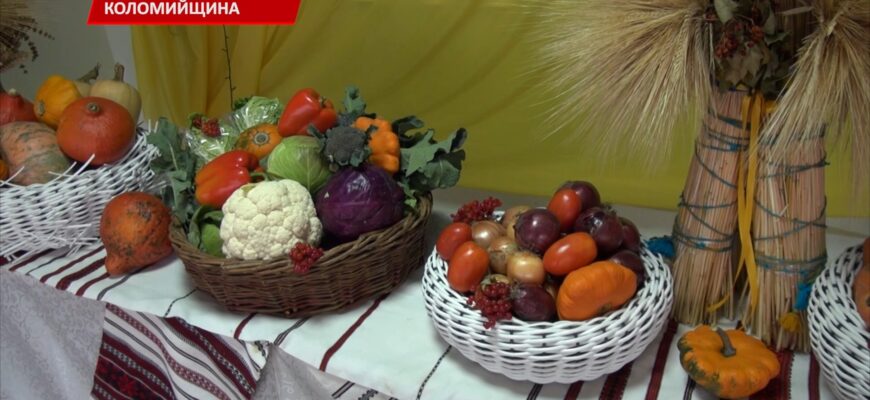 У Матіївцях відзначили День працівників сільсого господарства. Відео