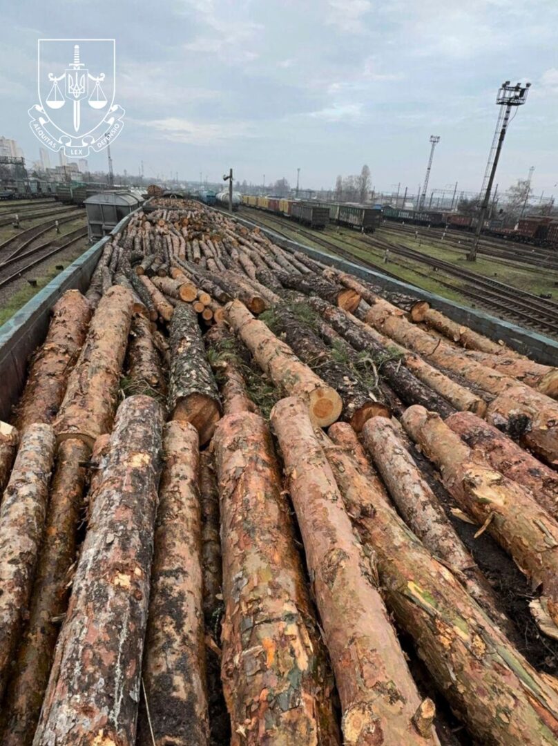 ieg - Припинено наймасштабнішу схему контрабанди цінної деревини - rai.ua