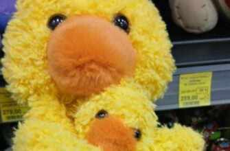 На Прикарпатті виявили небезпечну іграшку