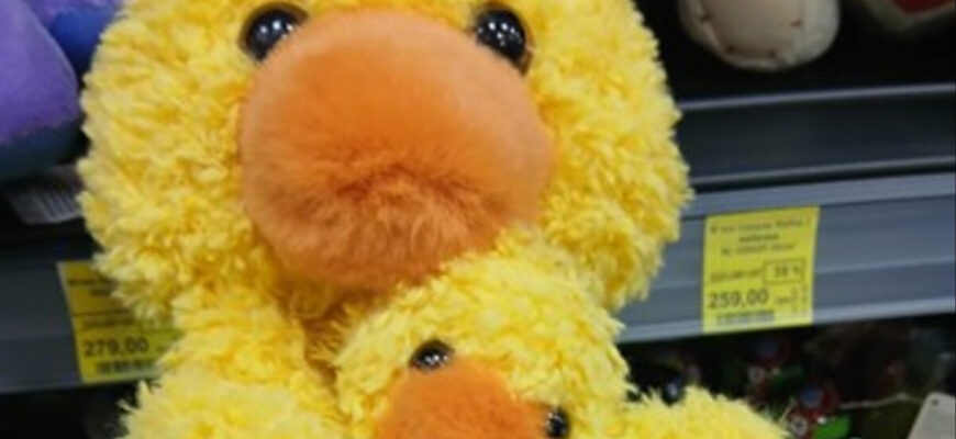 На Прикарпатті виявили небезпечну іграшку