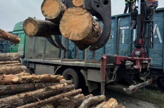 Припинено наймасштабнішу схему контрабанди цінної деревини