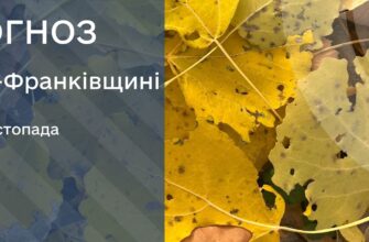 Прогноз погоди на 26 листопада 2025 року