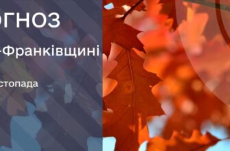 Прогноз погоди на 19 листопада 2025 року