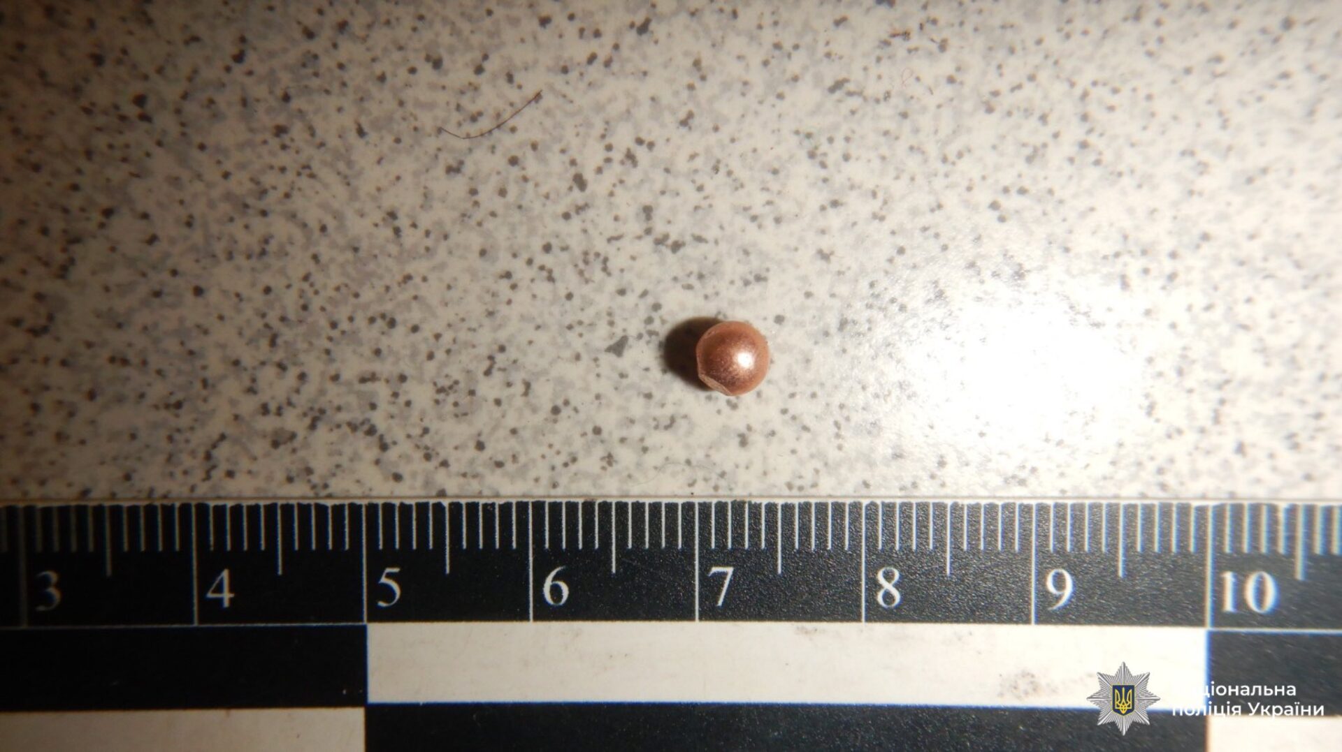 shzgh - Поліцейські затримали підозрюваного, який вчинив стрілянину в лікарні - rai.ua