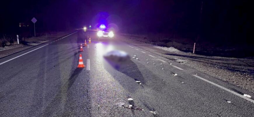 Вчинив смертельний наїзд та покинув місце пригоди: поліцейські затримали водія