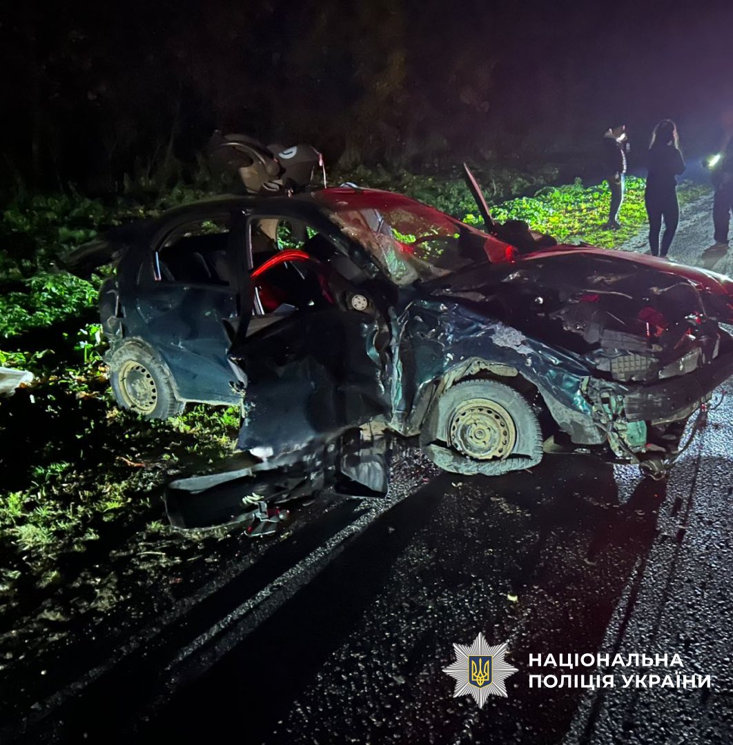 zhtp6 - Поліцейські затримали нетверезого водія, який вчинив смертельну ДТП - rai.ua