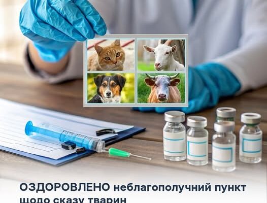 Спеціалісти Прикарпаття вакцинували від сказу 815 тварин
