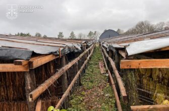 Правоохоронці ліквідували підпільне виробництво тютюну на понад 25 млн грн