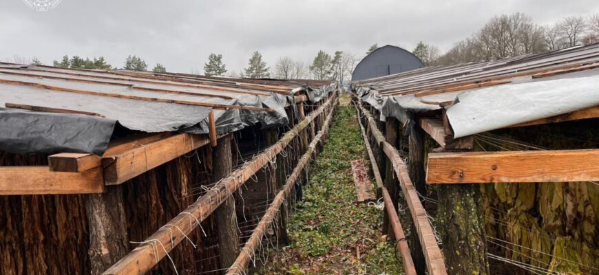 Правоохоронці ліквідували підпільне виробництво тютюну на понад 25 млн грн