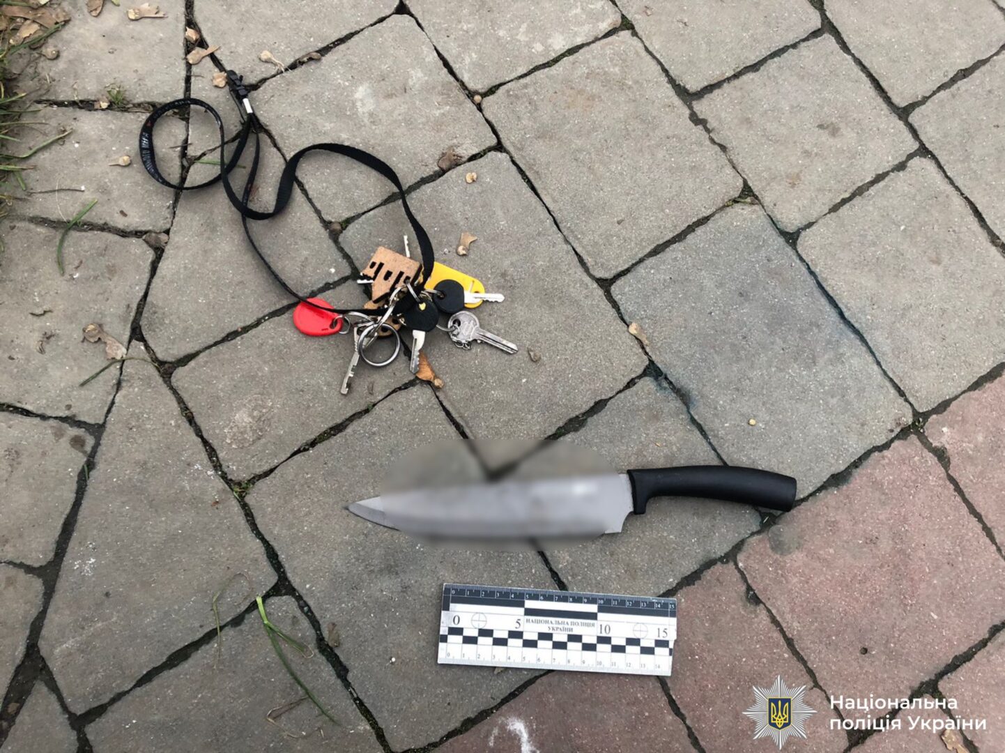 iaipevu - Напад на перехожих з ножем: прикарпатські поліцейські оголосили підозру фігурантці - rai.ua