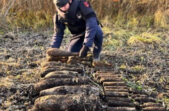 30 вибухонебезпечних предметів часів Другої світової війни виявили на Львівщині