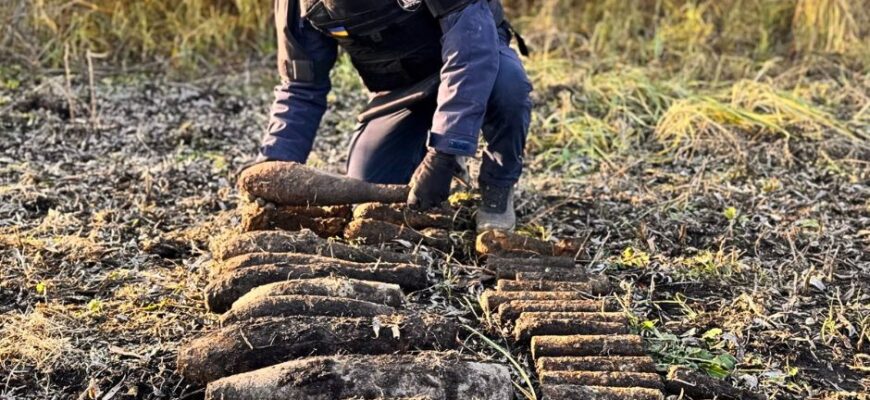 30 вибухонебезпечних предметів часів Другої світової війни виявили на Львівщині