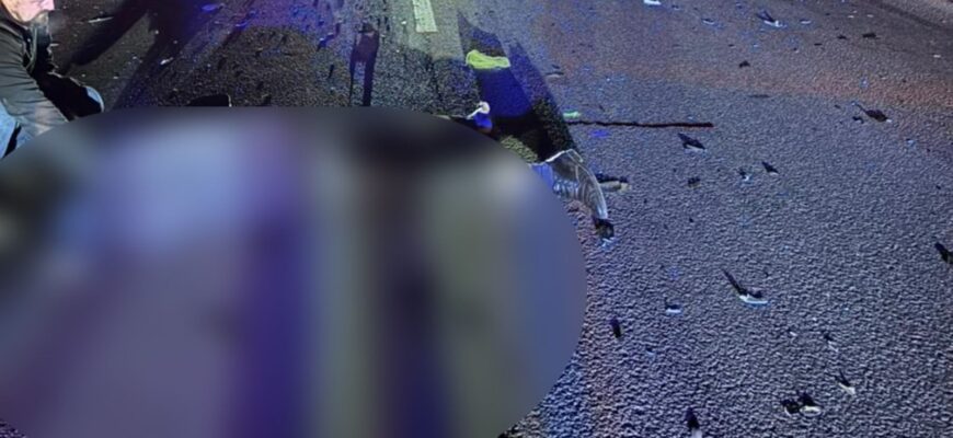 У Рогатинській громаді трапилась смертельна ДТП. Фото