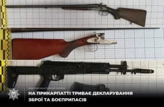 Поліцейські нагадують: кампанія з декларування зброї триває
