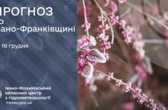 Прогноз погоди на 16 грудня 2025 року