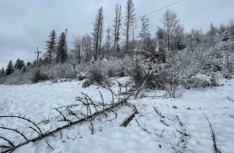 Наслідки негоди на Прикарпатті: тривають аварійно-відновлювальні роботи