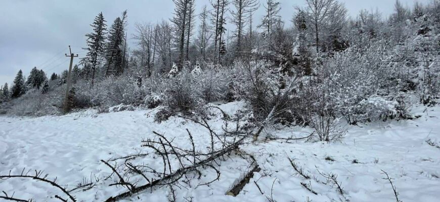 Наслідки негоди на Прикарпатті: тривають аварійно-відновлювальні роботи