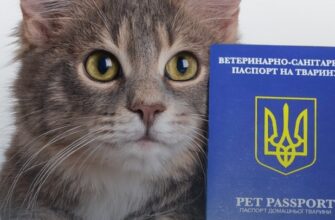 Як отримати офіційний паспорт на домашню тварину