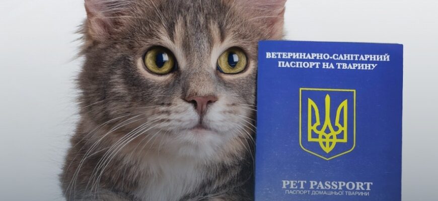 Як отримати офіційний паспорт на домашню тварину