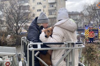 На вулиці Довженка горіла квартира в багатоповерхівців
