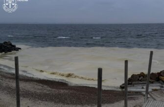 Ворожа атака по Одещині спричинила забруднення довкілля