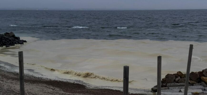 Ворожа атака по Одещині спричинила забруднення довкілля