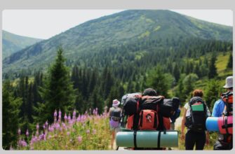 Туристичний збір на Прикарпатті зріс на 40%