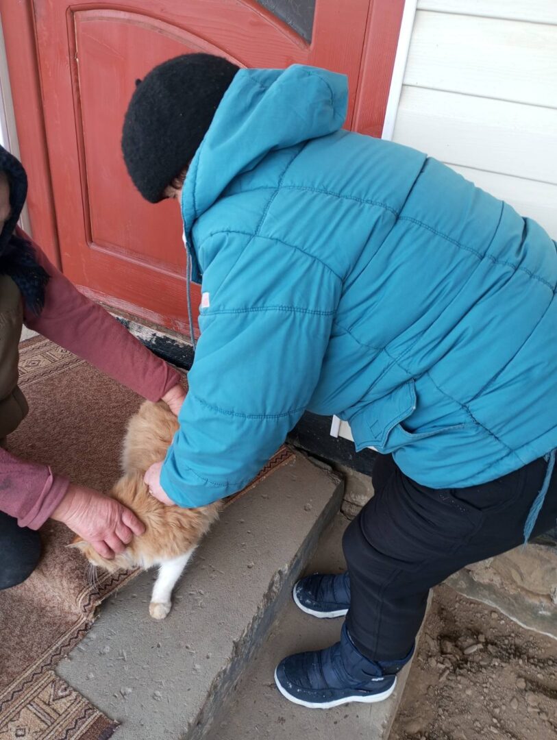 vraknal - На Прикарпатті триває профілактика сказу тварин - rai.ua