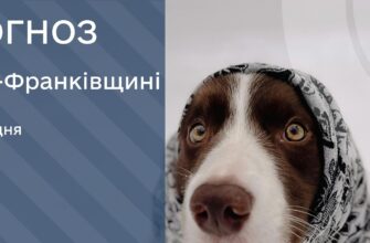 Прогноз погоди на 9 грудня 2025 року