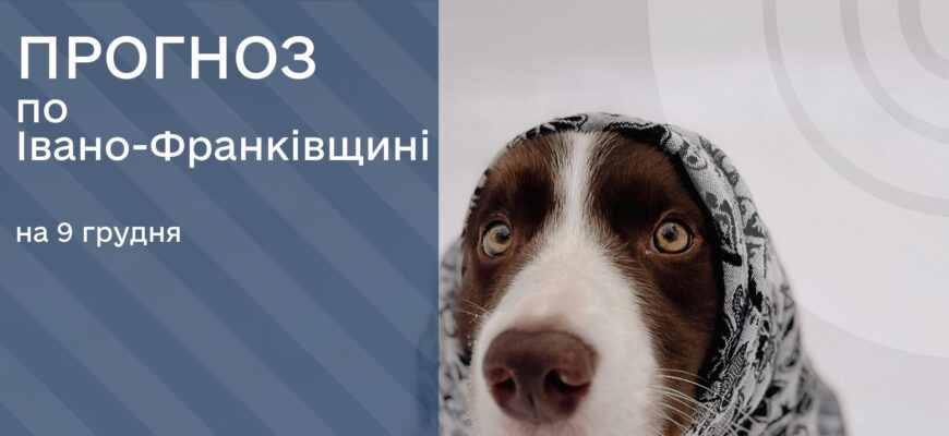 Прогноз погоди на 9 грудня 2025 року