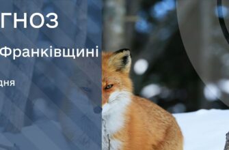 Прогноз погоди на 10 грудня 2025 року