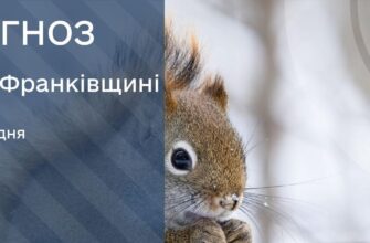 vsoveolo e1766413689341 - Прогноз погоди на 23 грудня 2025 - rai.ua