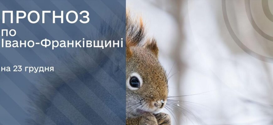 vsoveolo e1766413689341 - Прогноз погоди на 23 грудня 2025 - rai.ua