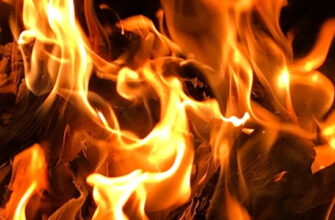 З початку року у пожежах загинули 83 людини